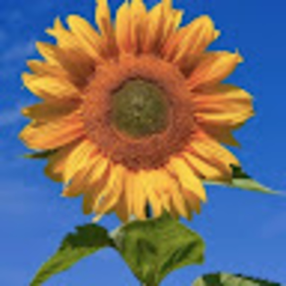 Meet your Posher, Kristine